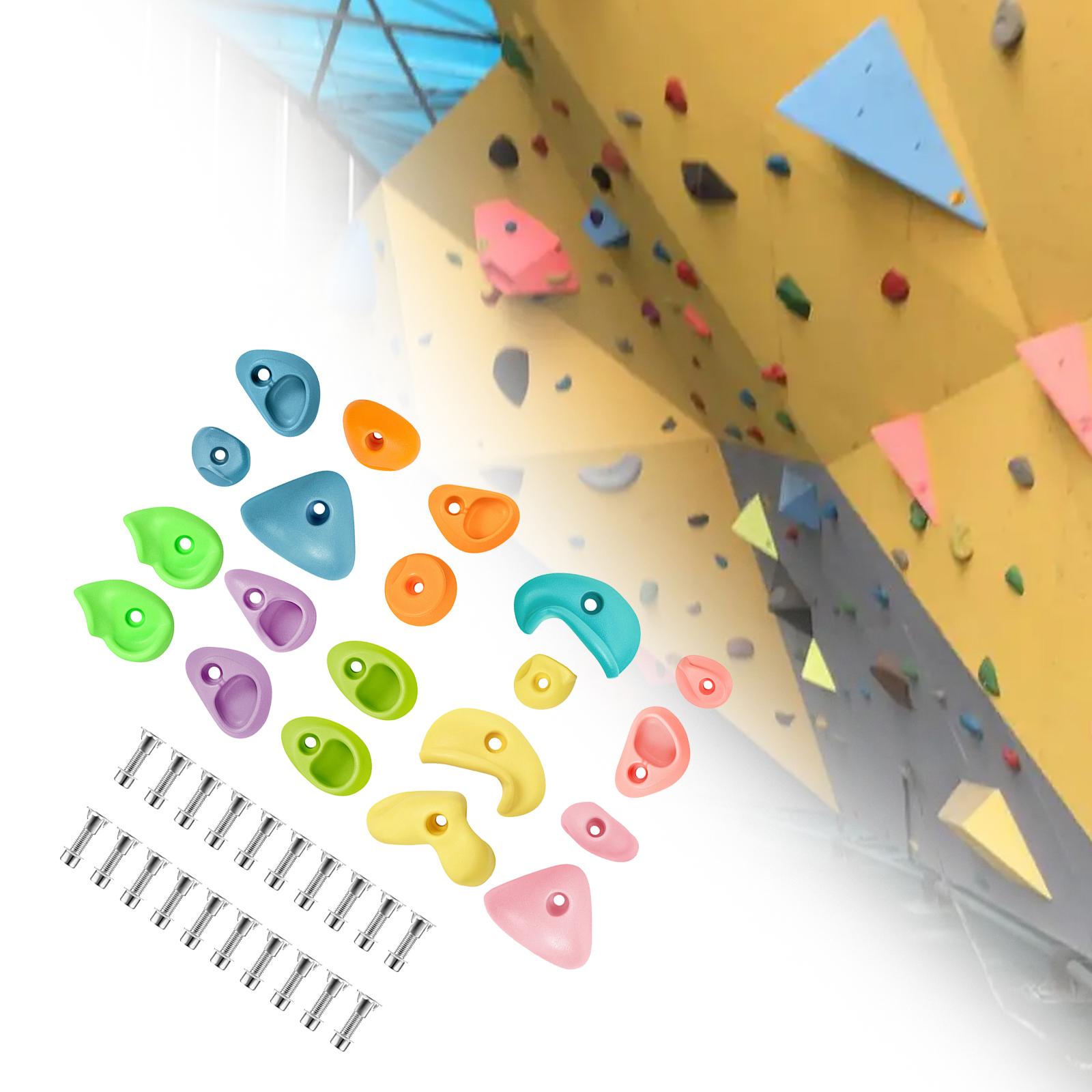 El escalada en roca sostiene l - Kids Outdoor Climbing Equipment reseña y precio